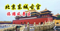 淫荡护士偷吃病人大屌中国北京-东城古宫旅游风景区